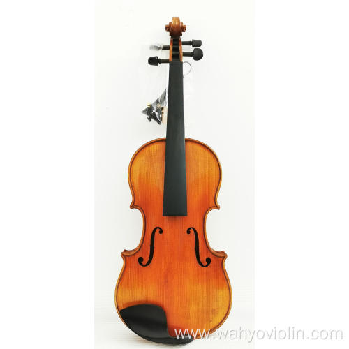 Ebony Fitted Solid Wood Violin